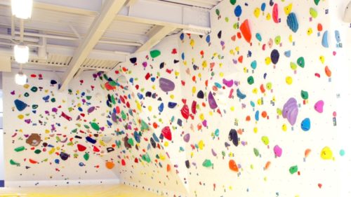 東京都のクライミング施設「クライミングジム SPIDER（スパイダー）」